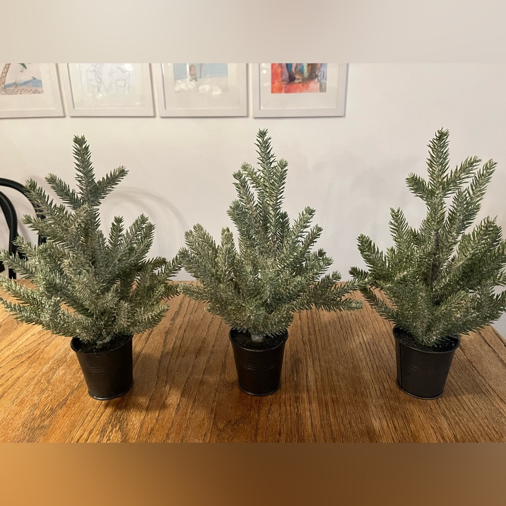 Target flocked faux mini pine trees set of 3